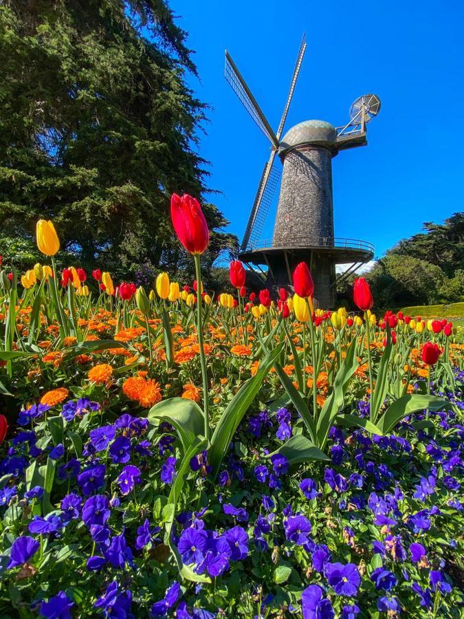 Golden Gate Park Suite San Francisco Buitenkant foto